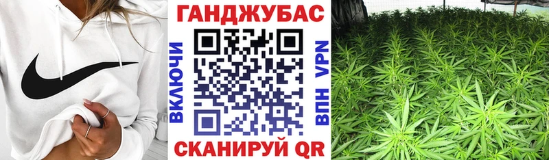 мега ONION  дарнет шоп  Кириллов  Конопля тримм 